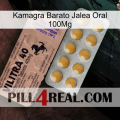 Cheap Kamagra Oral Jelly 100Mg 41